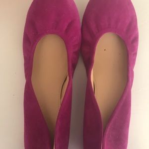 Fuchsia Flats